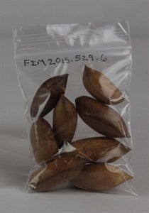 Image description is not available for FIM2015.529.6